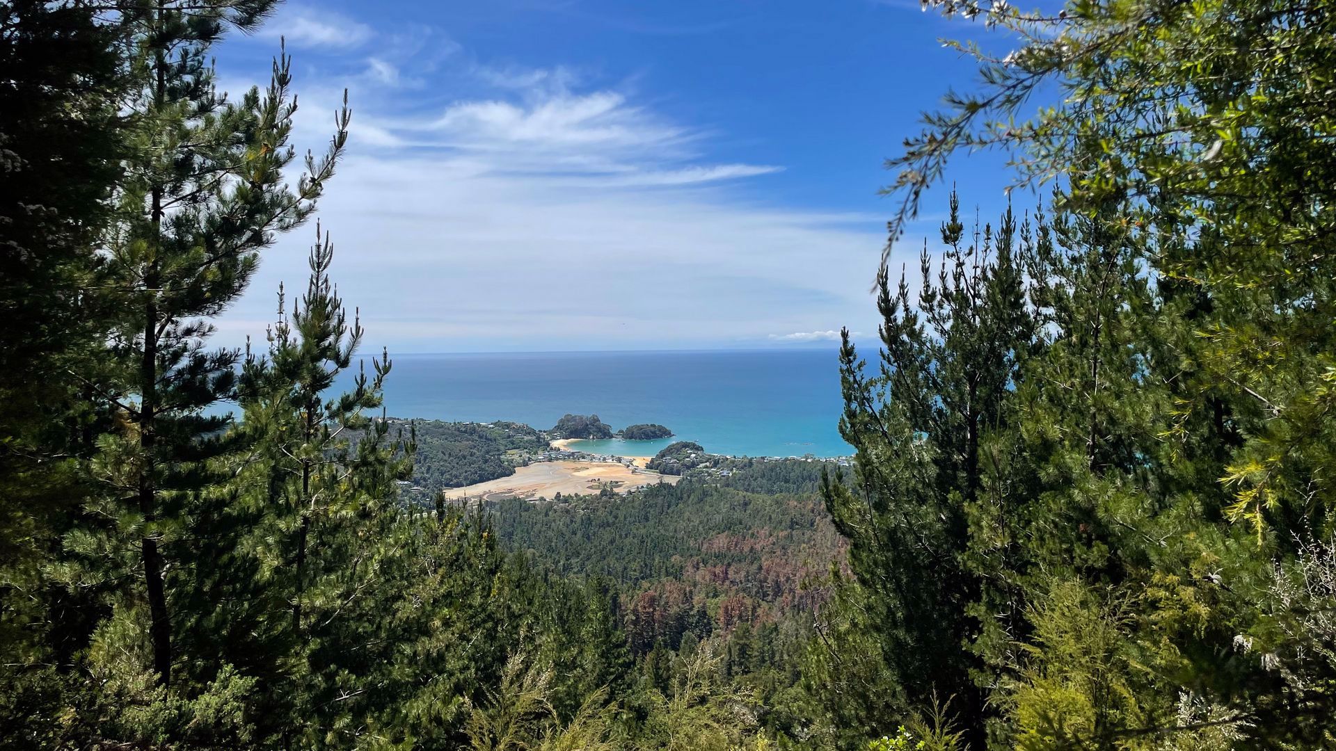 kaiteriteri-mountain-bike-park-arapiko2