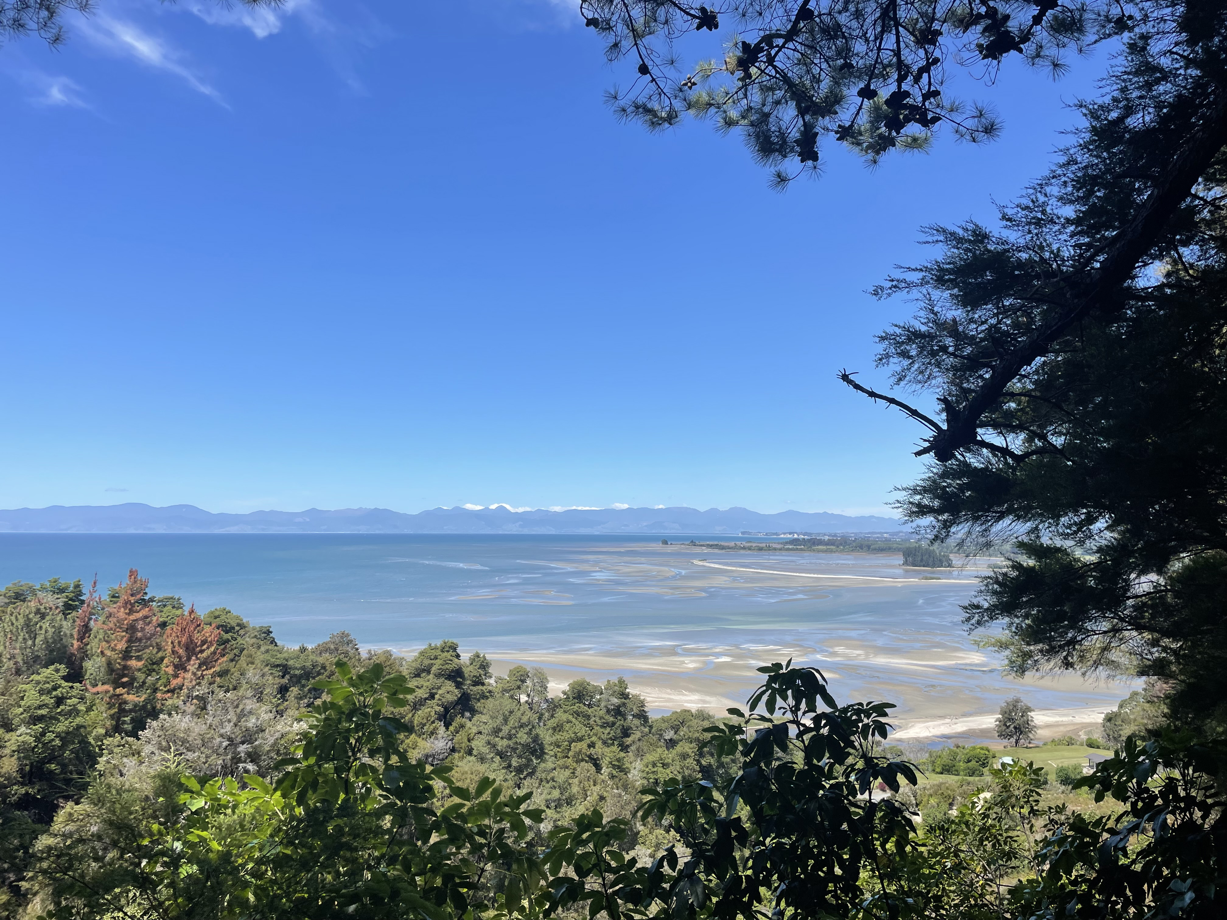 kaiteriteri-mountain-bike-park-arapiko1