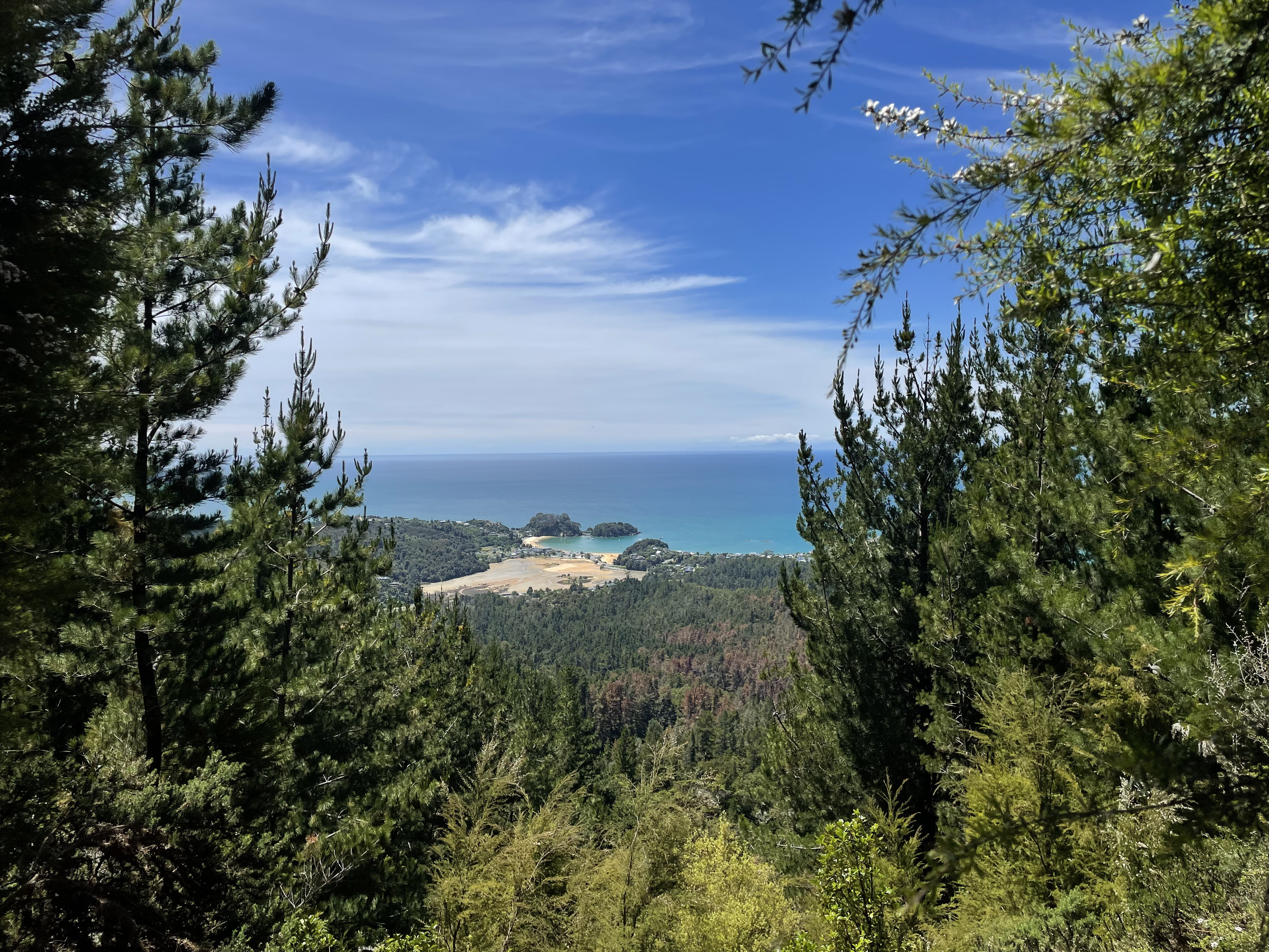 kaiteriteri-mountain-bike-park-arapiko2