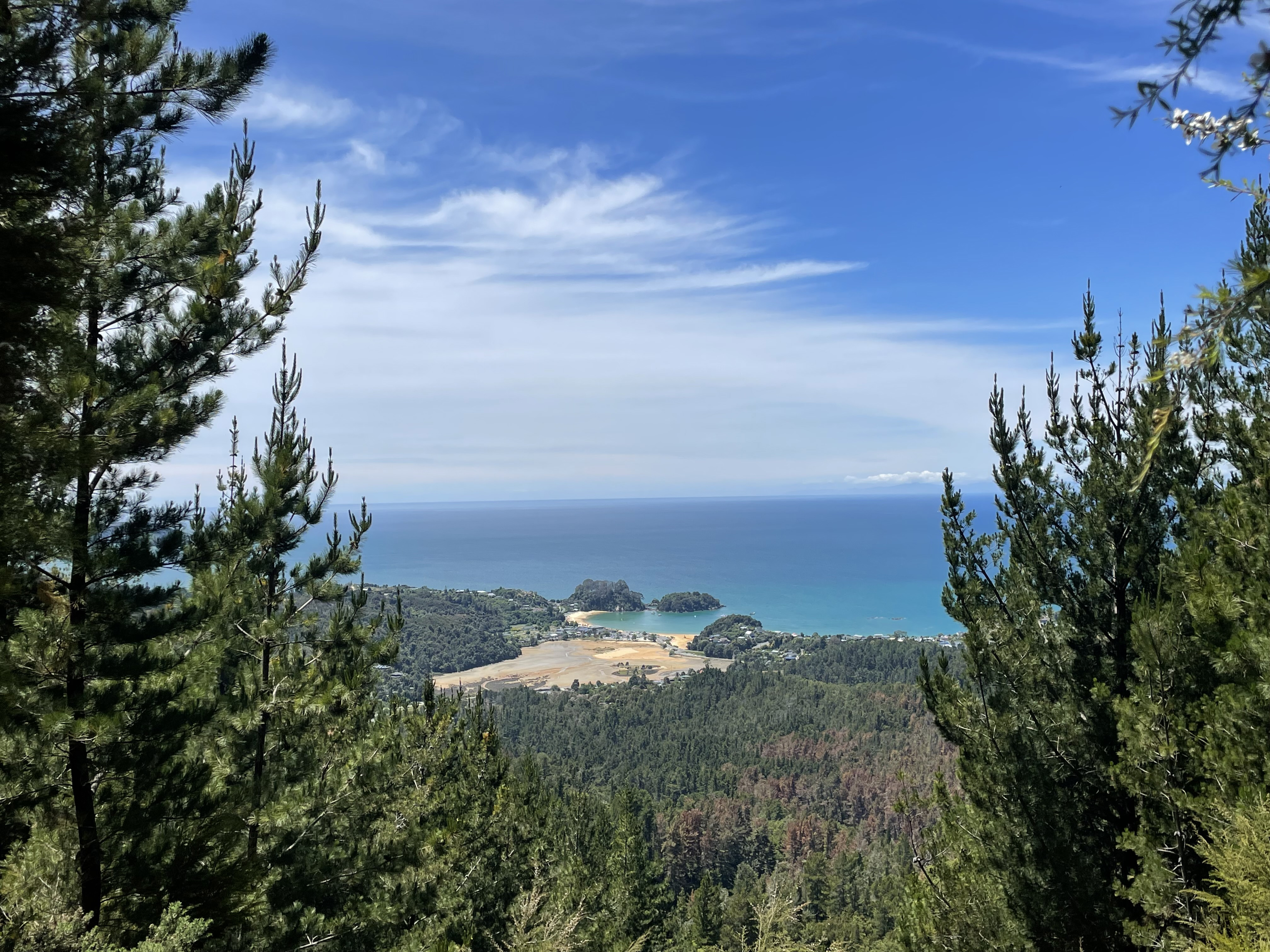 kaiteriteri-mountain-bike-park-arapiko4